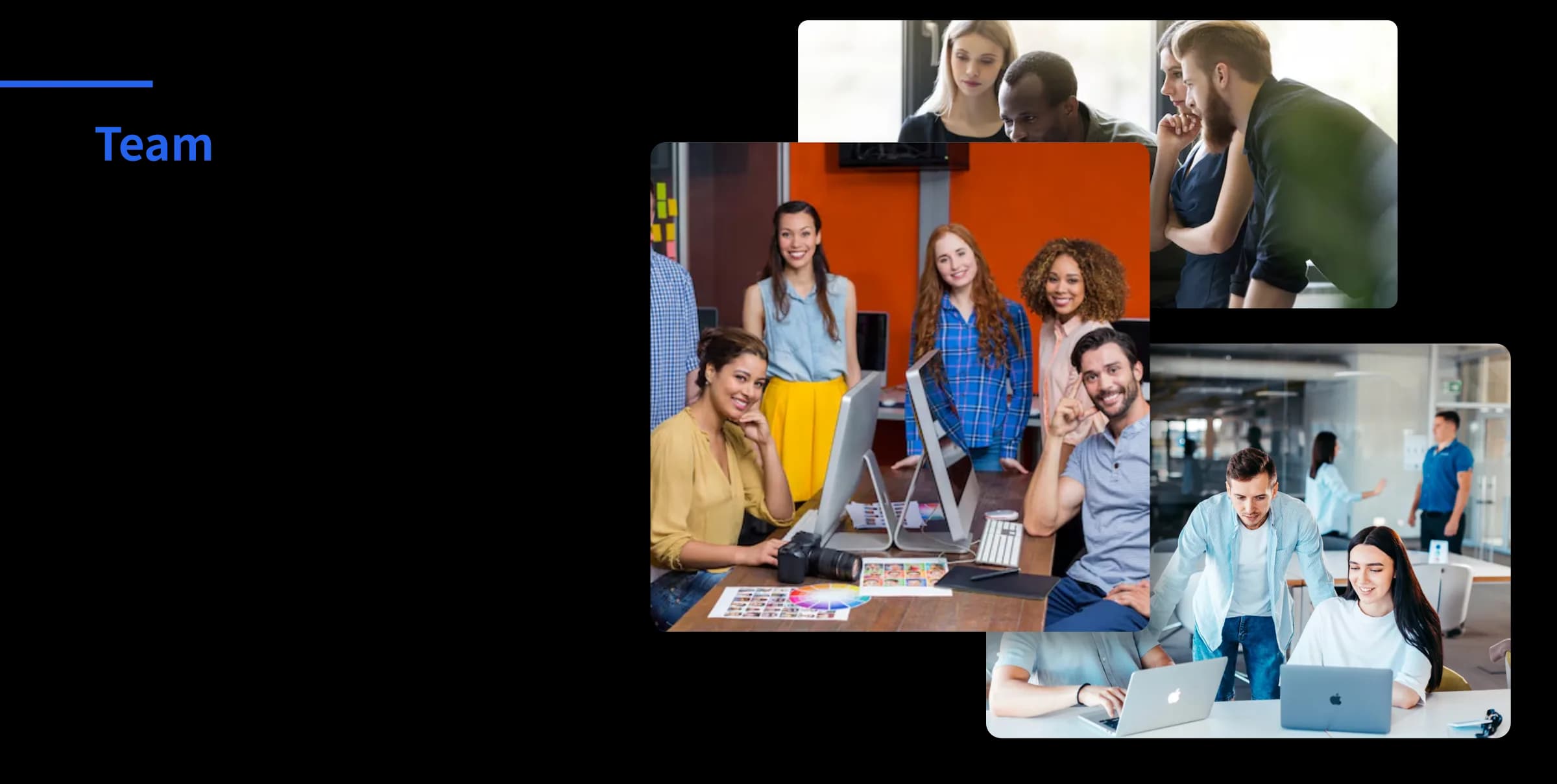 Our team